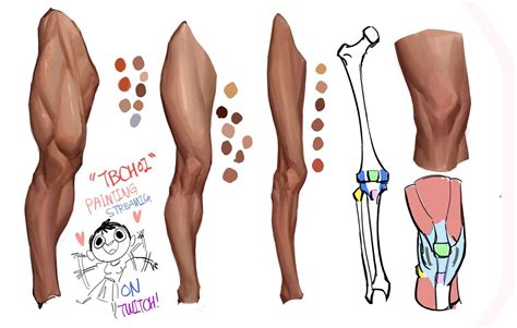 Pin by Saulloredoslf on Anatomia | Anatomy reference, Leg anatomy ...