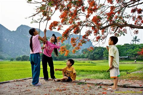 Hình ảnh cực đẹp về mùa hè - Cuộc sống 365 day