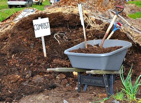 Too Much Compost - Is It Poisoning Your Garden?