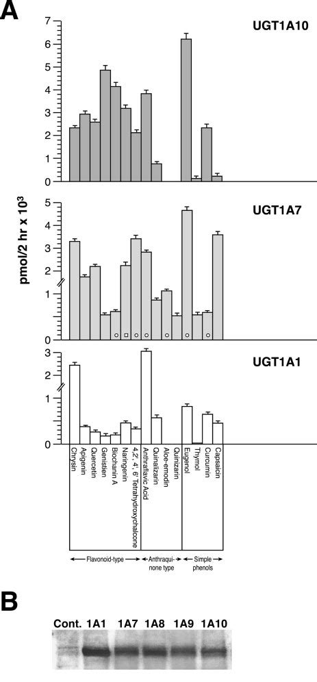 Screens of potential UGT substrates using short incubations for... | Download Scientific Diagram