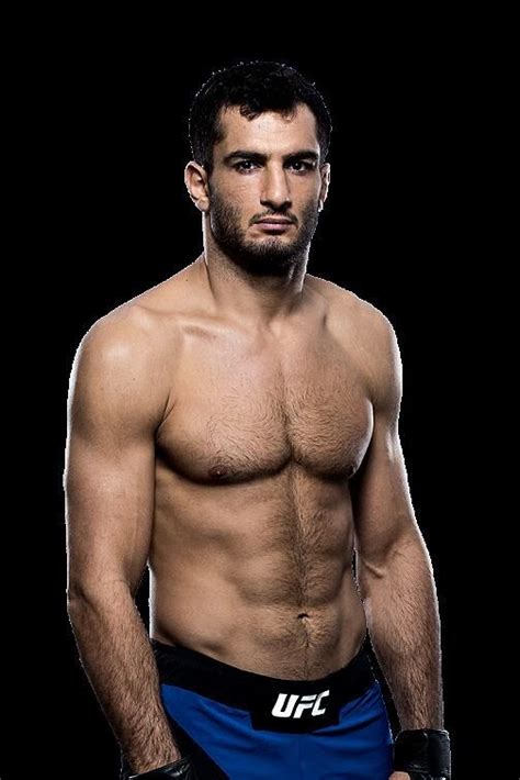 Gegard Mousasi | MMA Amino