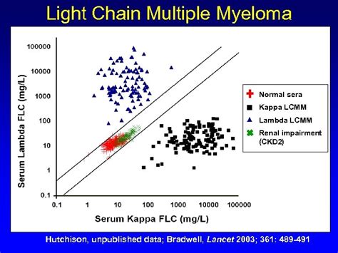 Kappa Lambda Light Chains Free With Ratio Serum High | Shelly Lighting