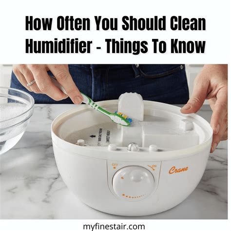 How Often You Should Clean Humidifier - Things To Know