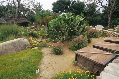 Outdoor Habitats | Tortoise habitat, Tortoises, Russian tortoise