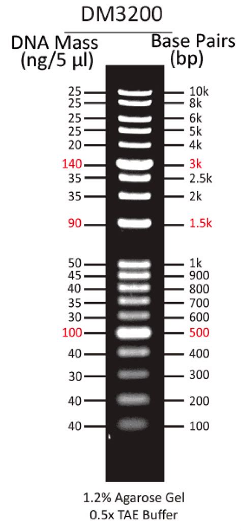 ExcelBand™ 1KB Plus (0.1-10 kb) DNA Ladder, 500 μl