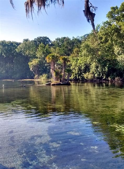 Things I Never Learned From My Mom: Exploring Florida - Salt Springs Recreational Area