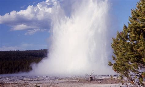 Great Fountain Geyser in Yellowstone National Park - AllTrips