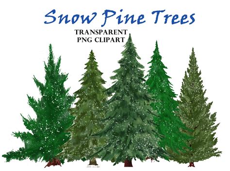 Snow Pine Trees Clipart. Winter Fir Trees PNG. Evergreen Tree Clipart ...