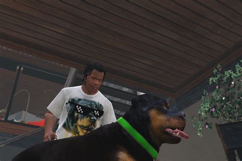 Chop Shirt For Franklin - GTA5-Mods.com