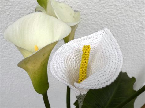 CROCHET PATTERN Crochet Calla Lily Flower for Home Decor or - Etsy