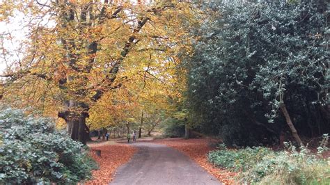 Sutton Park Sutton Coldfield Warwickshire England | Sutton park, Sutton coldfield, Warwickshire