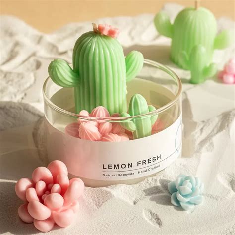 Cactus Garden Candle - Windowsill