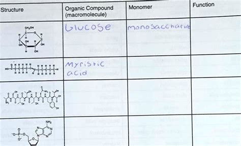 SOLVED: Identify each of the organic compounds based on their structure and also provide their ...