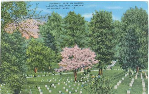 Design History of National Cemeteries (U.S. National Park Service)