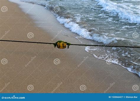 Rope Fence Beach Stock Photos - Download 752 Royalty Free Photos