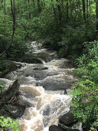 Tellico Trout Hatchery (Tellico Plains) - 2020 All You Need to Know BEFORE You Go (with Photos ...