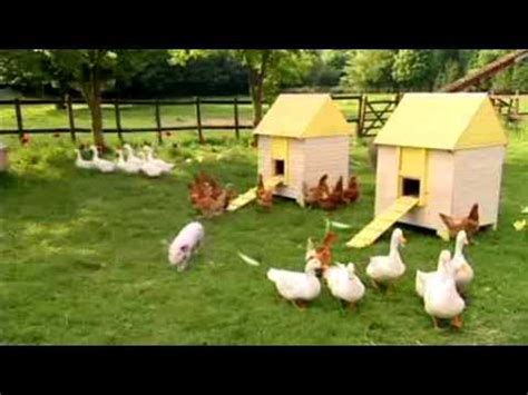 BBC CBeebies Big Barn Farm Big Barn Farm Theme Song - YouTube