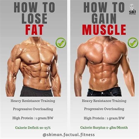 HOW TO LOSE FAT OR GAIN MUSCLE, If you are looking to lose fat, here are the key points and take ...