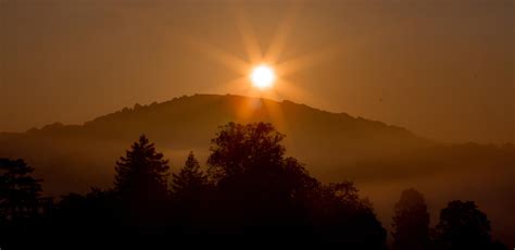 Foggy Forest Sunrise Background stock by TraceyLord on DeviantArt