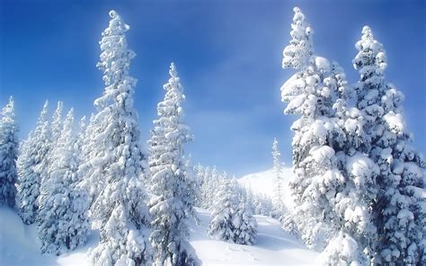 Beautiful Winter Landscapes Wallpaper | Free Best Hd Wallpapers