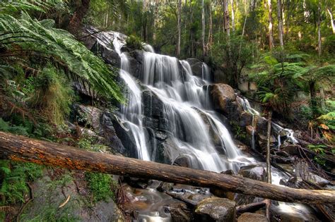 Noojee Waterfall | Waterfall, Adventure, Outdoor