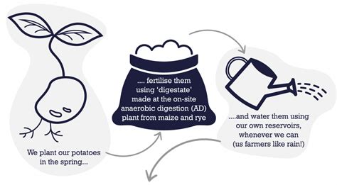 Sustainability - Fairfields Farm Crisps