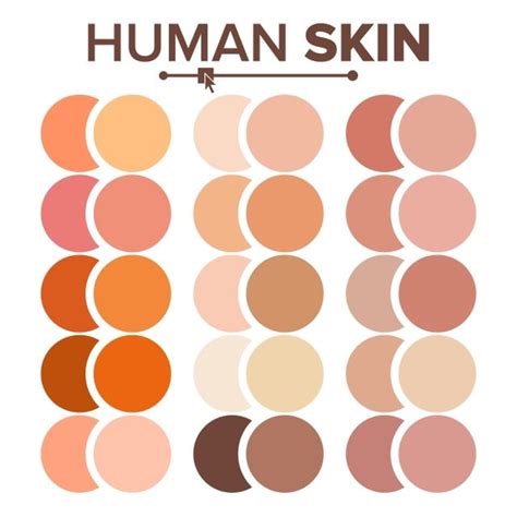 Skin Tones Color Palette Vector Skin Color Vector Chart Download A ...