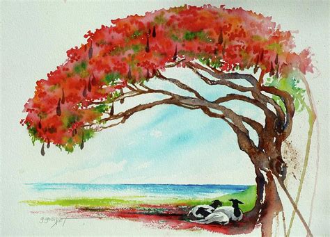 Flamboyant Tree Painting at PaintingValley.com | Explore collection of Flamboyant Tree Painting