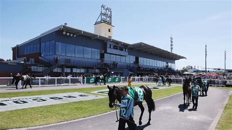 Outstanding work: Cranbourne clerk rides to rescue with capture of loose horse | Horse Racing ...