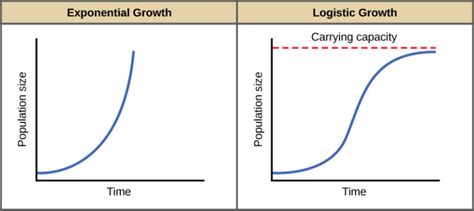 Population Ecology | Biology for Majors II