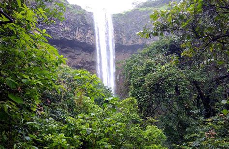 Top 10 Famous Waterfalls in Goa That You Must visit in 2024