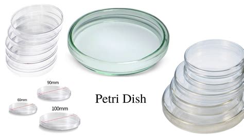 Petri Dish: Types, Uses, and Automated Petri Dish Filler • Microbe Online