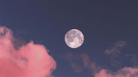 [100+] Pink Moon Wallpapers | Wallpapers.com