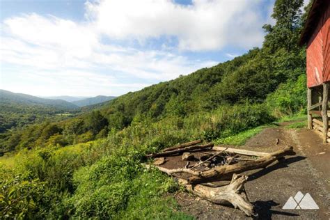 Roan Mountain hiking: Roan Highlands and Appalachian Trail