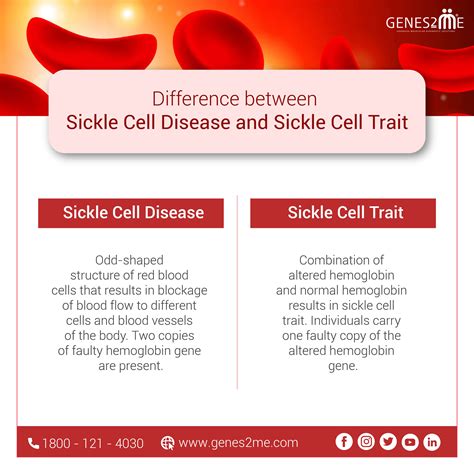 Simplemind map for sickle cell anemia - kindlekopol