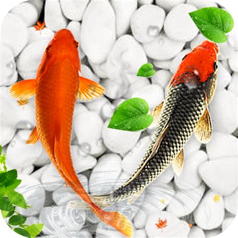 Koi Fish Live Wallpapers HD - Apps on Google Play