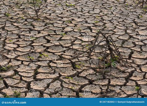 Dry Land Concept for Climate Change from Global Warming. Stock Image ...