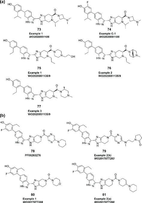 (A) Lung -selective JAK inhibitors from Theravance Biopharma. (B) JAK... | Download Scientific ...