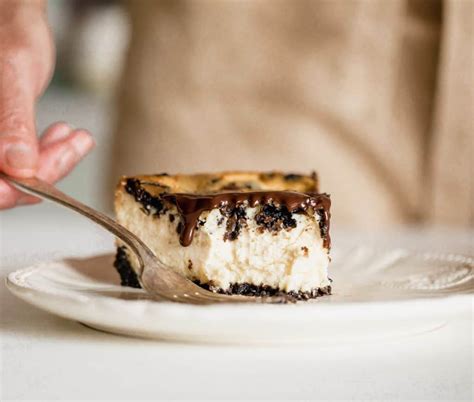 Creamy Oreo Cheesecake (best recipe with video) - Vintage Kitchen Notes