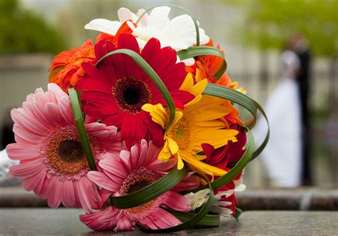 Pictures Of Gerbera Daisy Wedding Bouquets - I Think This Is Pretty ...