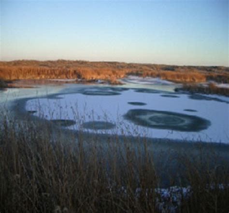 Northern Leopard Frog Habitat Enhancement Project - Ecological Land ...