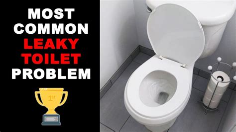 Most Common Leaking Toilet Problem and How to Fix It - YouTube