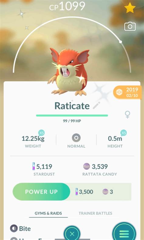 Shiny Raticate Pokemon Go, Video Gaming, Gaming Accessories, Game Gift ...