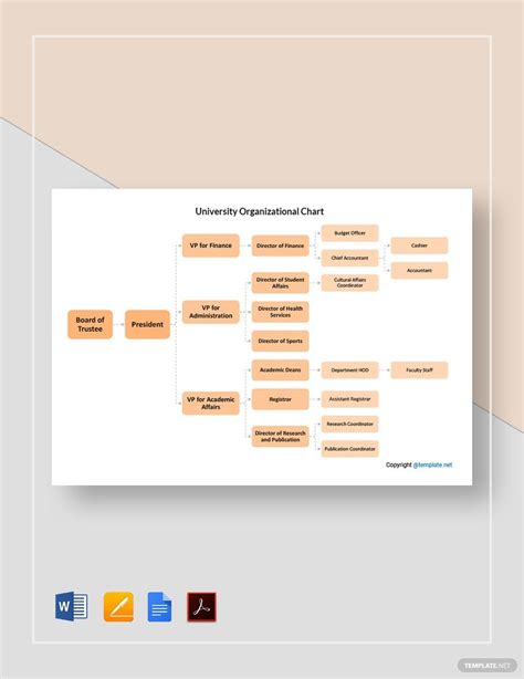 Sports Organizational Chart - Templates, Free, Download | Template.net