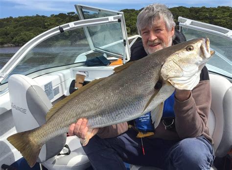 Big mulloway in a fantastic week | Geelong Independent