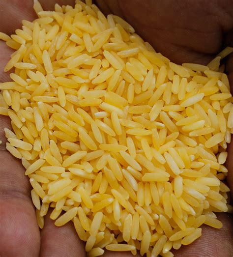 Golden Rice | 11 Foods That Are Changing the World | TIME.com