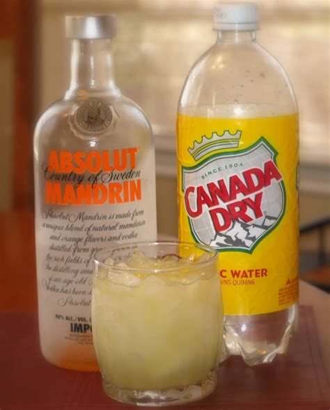 10 Best Absolut Vodka Recipes