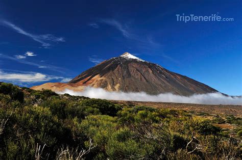 Trip to the Mount Teide National Park in Tenerife - TripTenerife.com