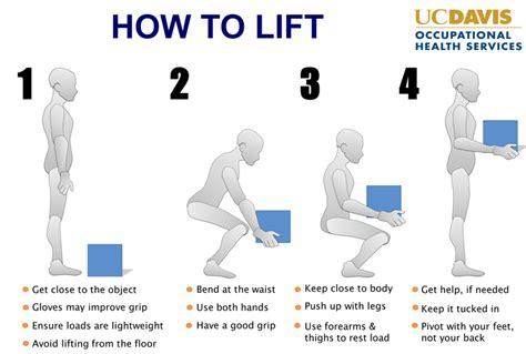 [DIAGRAM] Manual Handling Techniques Diagram - MYDIAGRAM.ONLINE