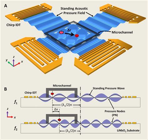 » 3aPA3 – Standing Surface Acoustic Wave Enabled Acoustofluidics for ...